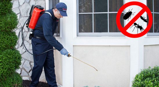 Halfeti Akrep İlaçlama böcek ilaçlama ve haşere kontrolü — ilaclama-tr.com